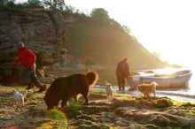 "Love & Engineering" and "The Last Black Sea Pirates" Presented Bulgarian Documentary at the "DocPoint” Film Festival in Helzinki