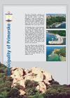 Морето сближава всичко далечно