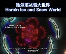 Bulgarian Participation in the Ice Festival in Harbin