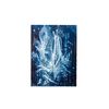 An exhibition of the artist Eli Joteva has been opened