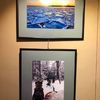 Opening in Plovdiv of a Photo Exhibition "Canada - Known and Unknown"