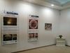 ИЗЛОЖБА, ПОСВЕТЕНА НА БЪЛГАРСКИТЕ ПАМЕТНИЦИ ПОД ЗАКРИЛА НА ЮНЕСКО ГОСТУВА В КАЗАНЛЪК