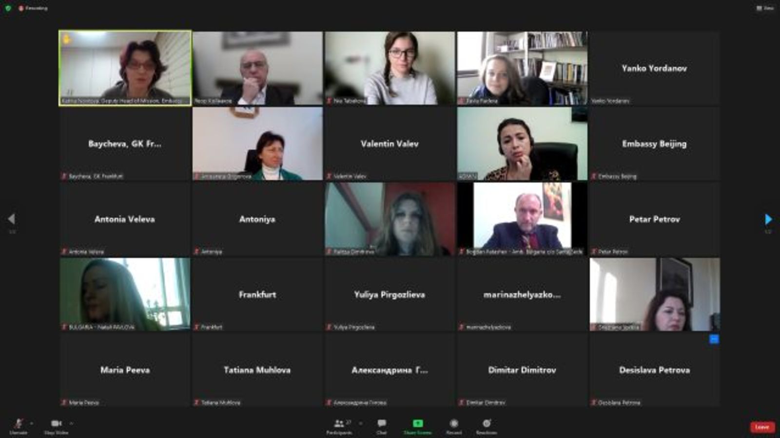 Online Meeting "Cultural Cooperation in the Programs of Diplomatic Missions and EUNIC"