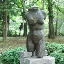 Torso