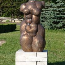 Torso