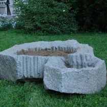 Змията и розата