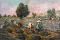 Mint Picking