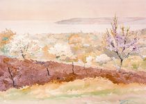 "Spring Trees"