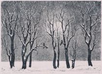 "Winter Silence"