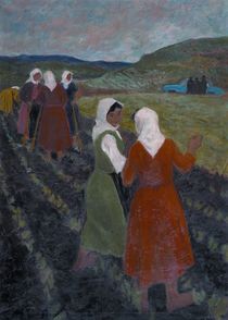 Копачки