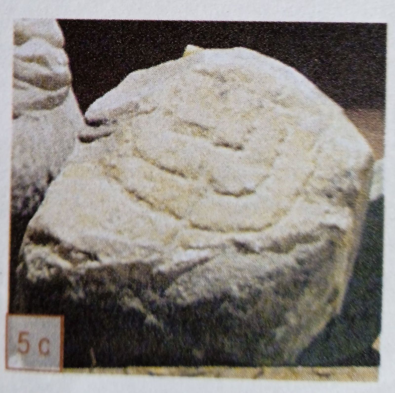 ulpia_oescus.jpg