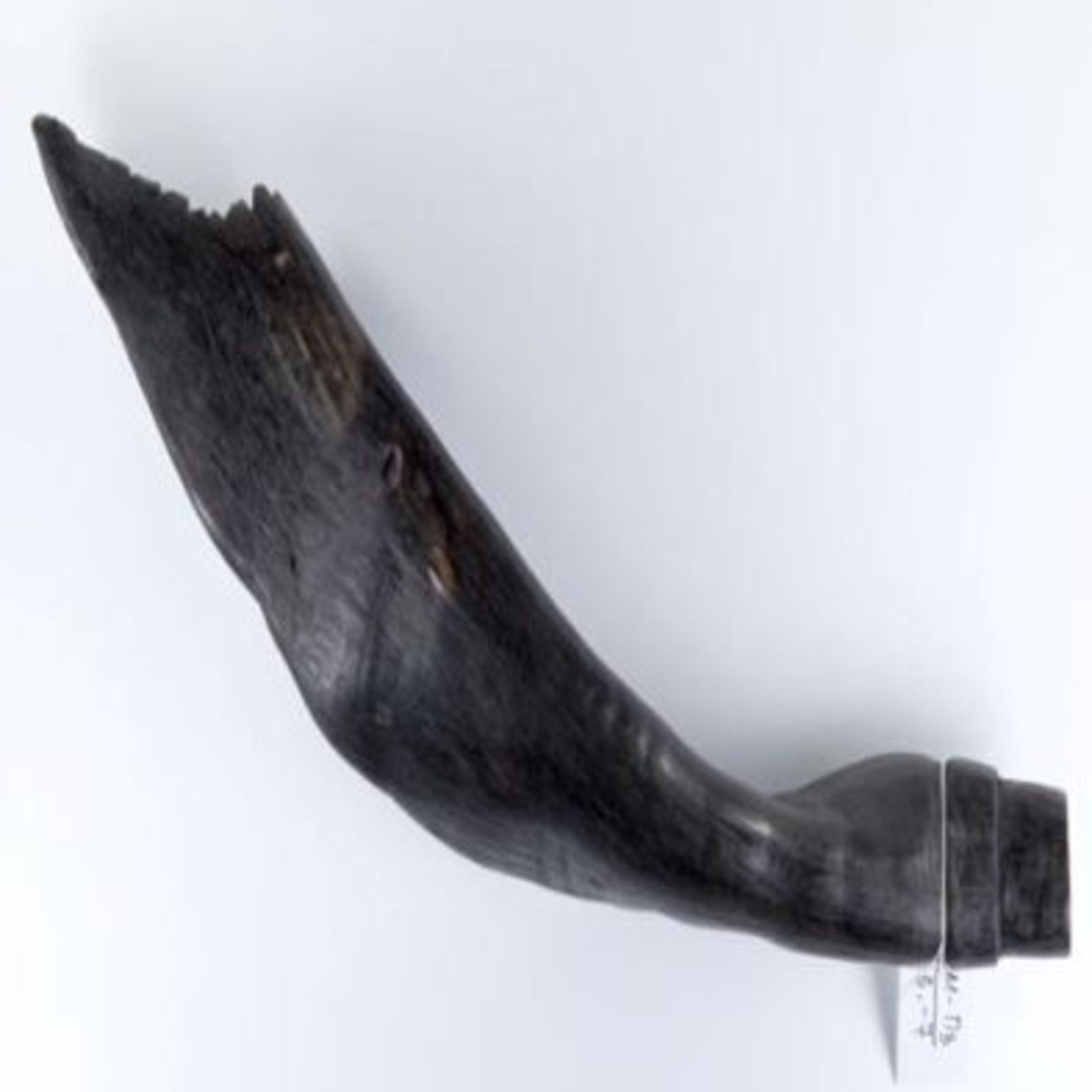 shofar.jpg