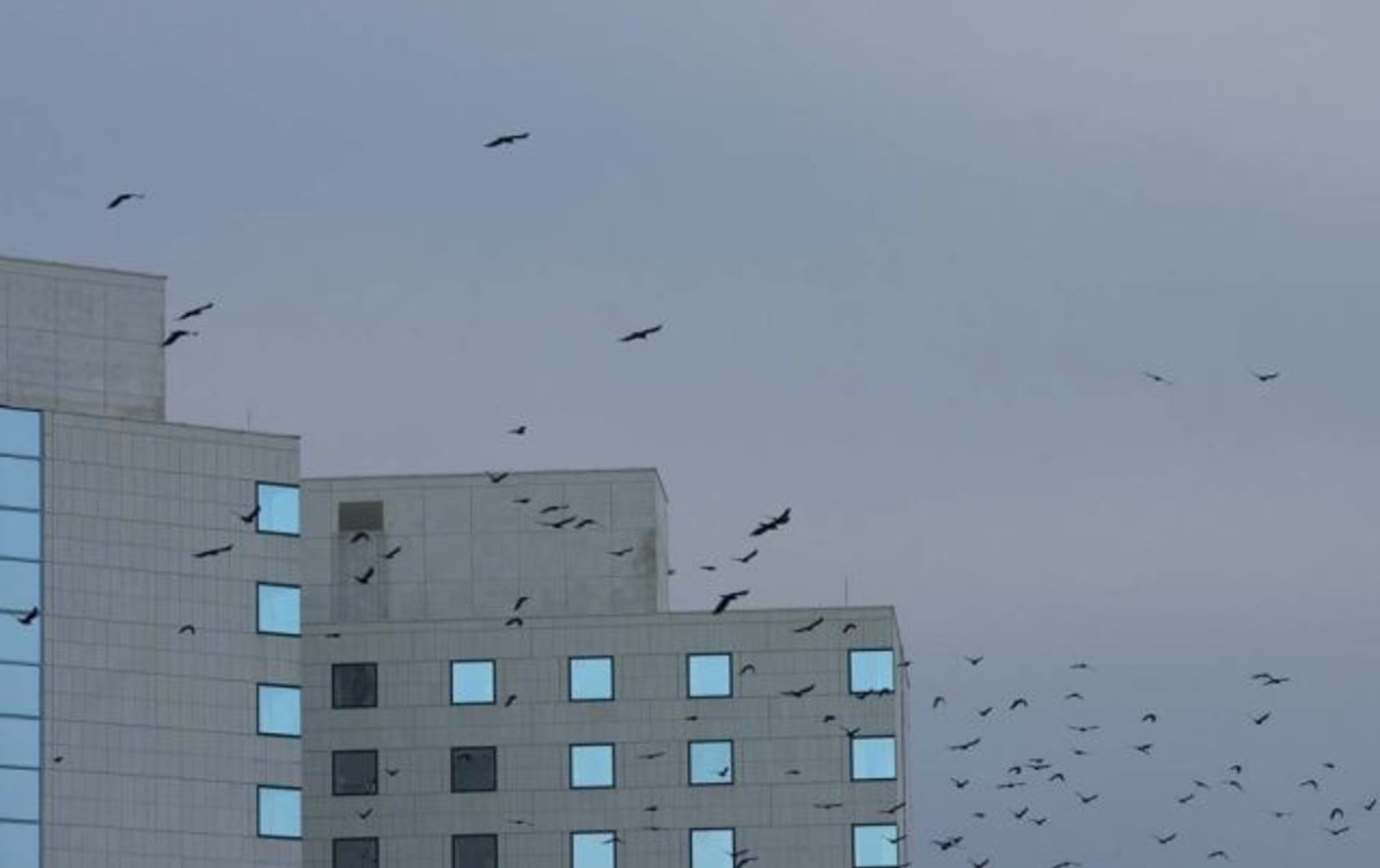 sofia-rooftops-14.jpg