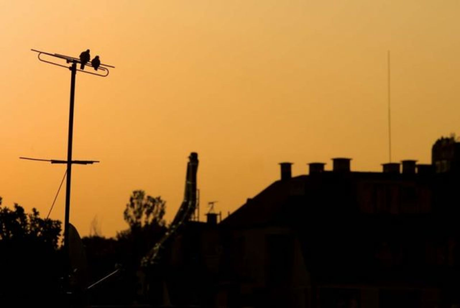 sofia-rooftops-4.jpg