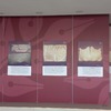 VISIT TO THE MOBILE EXHIBITION "STORIES FROM VERBAL TIMES" AT THE MFA