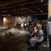 The Exhibition "Bulgaria and Mosaics" is Presented in the City of Stavanger