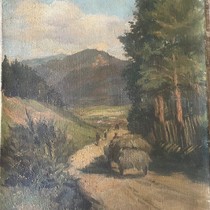 Forest landscape