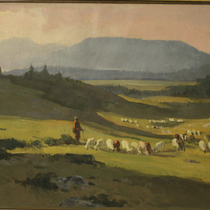 Shepherd