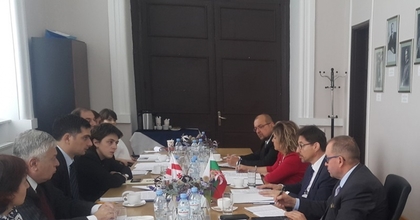 Двустранни политически консултации между България и Грузия