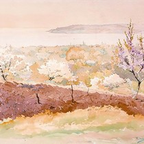 Spring trees
