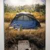The Group Exhibition "Eco-Consciousness" Presents Contemporary Artists from 8 Countries 