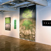 The International Exhibition "Eco-Consciousness" with Curator Ana Frangovska was Opened at the "Mission" Gallery
