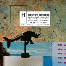 Presentation of the Herbarium Project at the National Salon of Contemporary Art in Bucharest