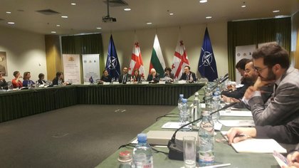 Семинар за Годишната национална програма на Грузия