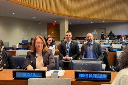 Bulgarian Youth with a Voice at the United Nations: Social Justice through Inclusion and Participation