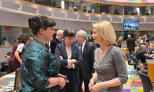 Заместник-министърът на външните работи Иванка Ташева взе участие в редовното заседание на Съвет „Външни работи“ на ЕС във формат „Развитие“