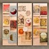 Bulgarian-Brazilian Exhibition "Beyond the Surface", Organised By "Amateras" Foundation