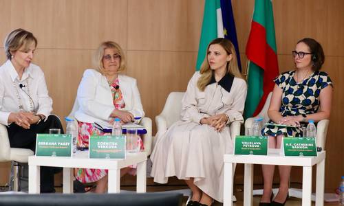 Министър Велислава Петрова участва в събитие, посветено на ирландското председателство на Съвета на ЕС