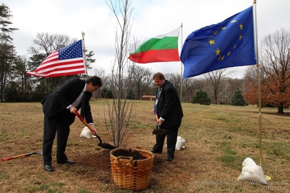 Memorial Tree Planted in Washington, D.C., on the Occasion of the 75th Anniversary of the Saving of the Bulgarian Jews