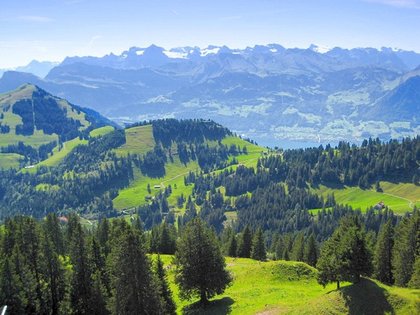 Film des Journalisten Sofia Stoycheva für Bulgaren in der Schweiz!