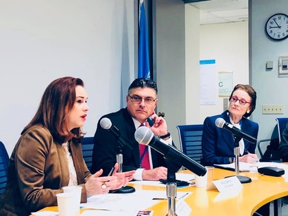Meeting of the Group of Friends of Children and the SDGs
