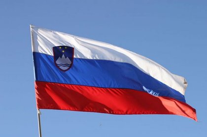 Информация за стачката в публичния сектор от 11 януари 2013 г. и продължаващите демонстрации в Р Словения