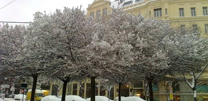 Информация за обилни снеговалежи в Австрия