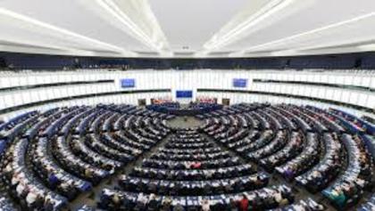  Информация за изборите за членове на Европейски парламент на Република България