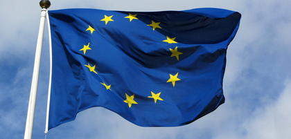 Информация за изборите за членове на Европейския парламент от Република България