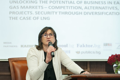 MFA works strategically for Bulgaria’s energy security
