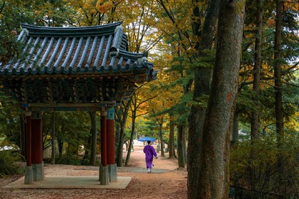 The Government approved a draft Agreement on Cooperation in the Field of Education and Culture between Bulgaria and the Republic of Korea