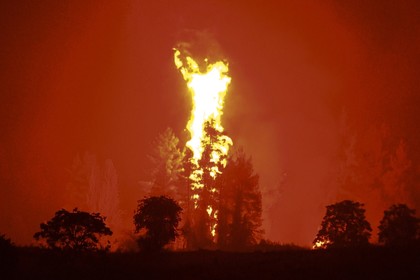 Информация относно актуалните огнища на пожари в Гърция към 12:00 часа на 12 август 2021 г.