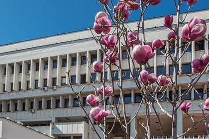 Statement of the Ministry of Foreign Affairs