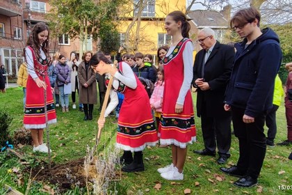 Церемония по засаждане на дръвче в българското училище „Пейо Яворов“ в Брюксел  в съответствие с древна еврейска традиция